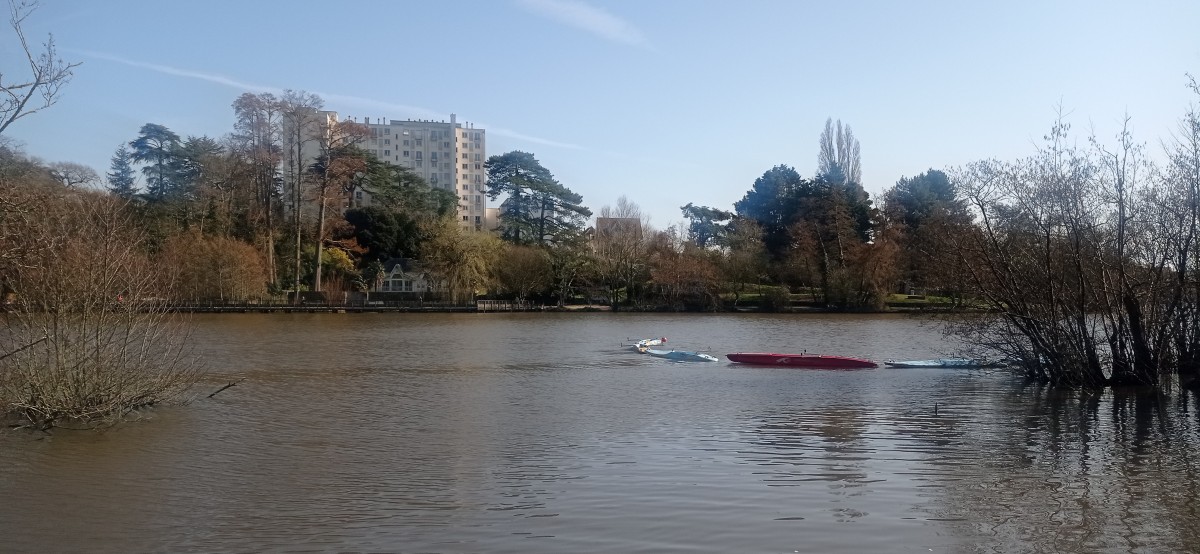 20250306_143157.jpg