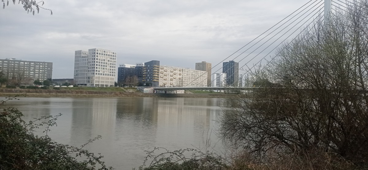 20250307_094436.jpg