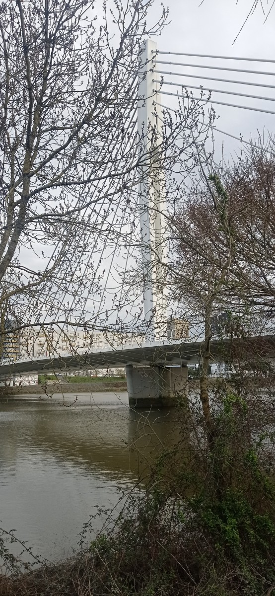 20250307_094621.jpg