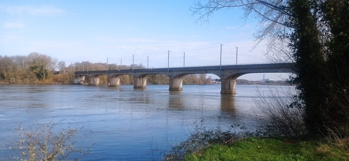 20250307_104211.jpg