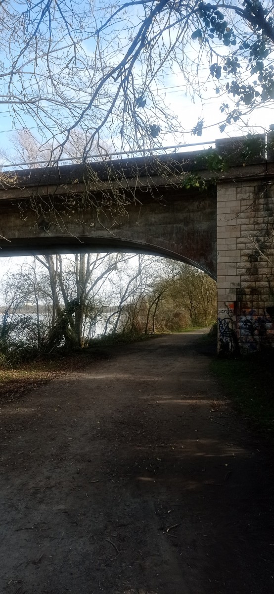 20250307_104310.jpg