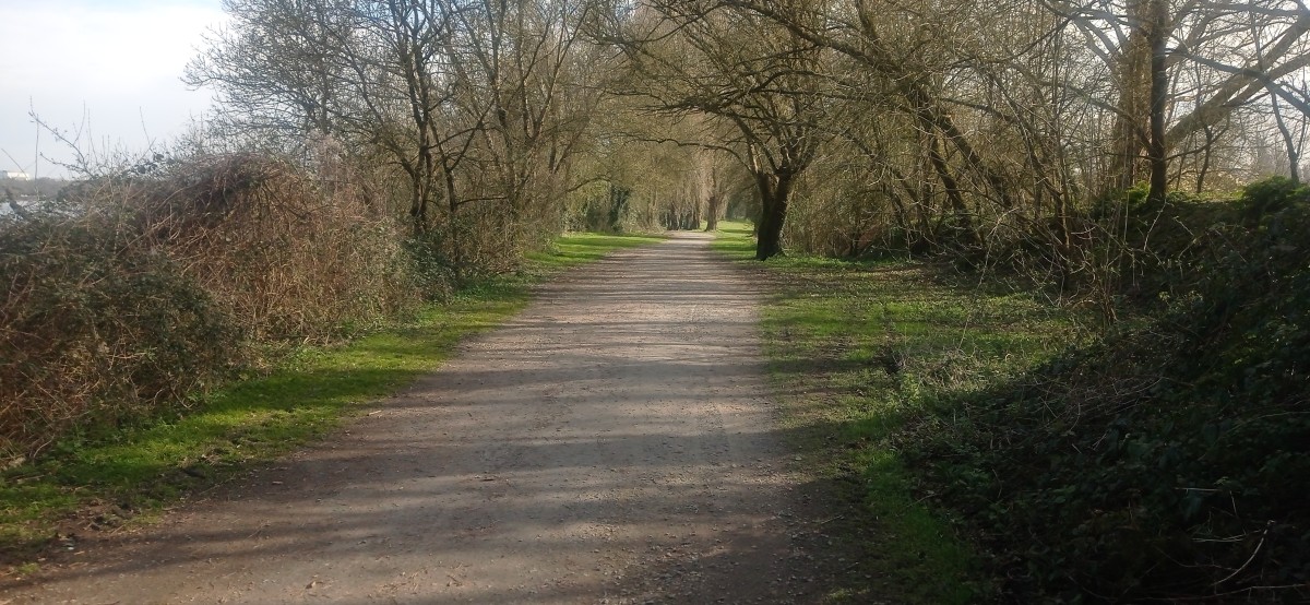 20250307_104338.jpg
