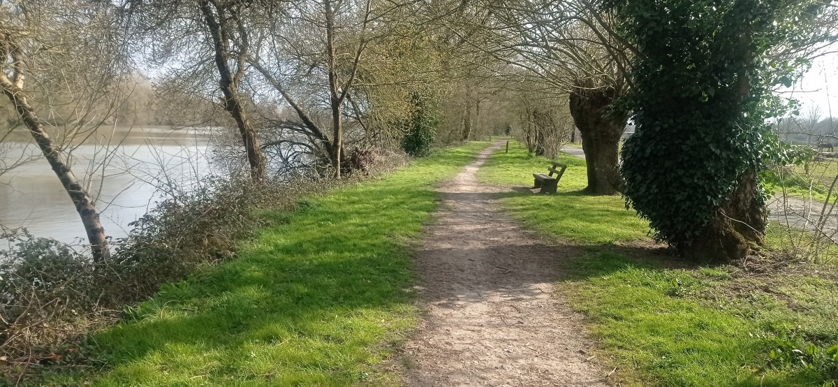 20250307_110010.jpg