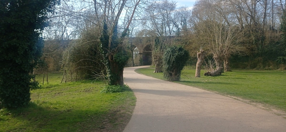 20250307_115730.jpg