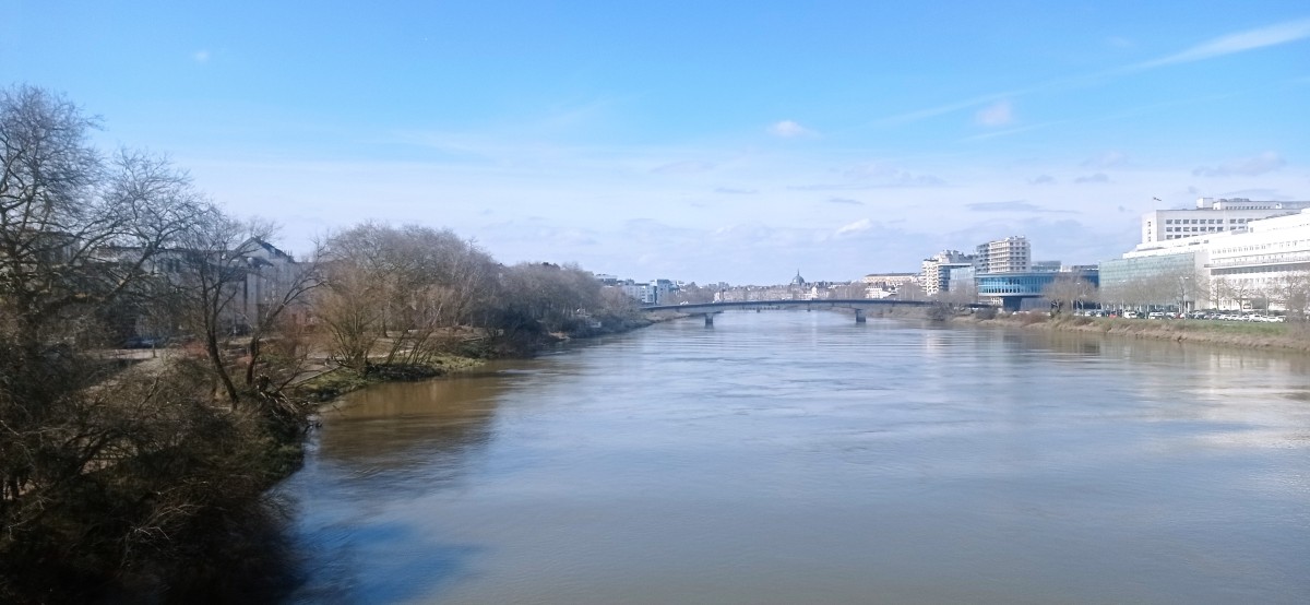 20250307_125103.jpg