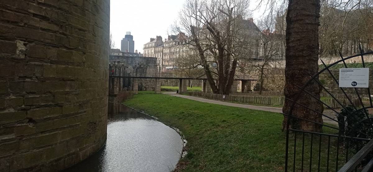 20250307_163901.jpg