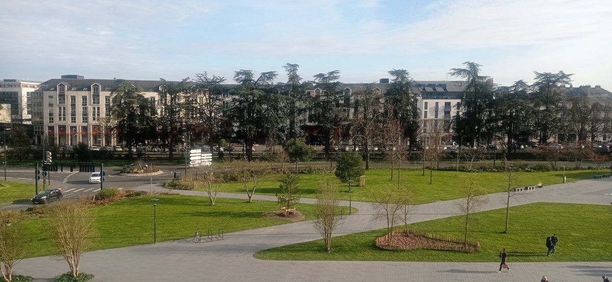 20250307_165154.jpg