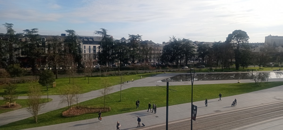 20250307_165158.jpg