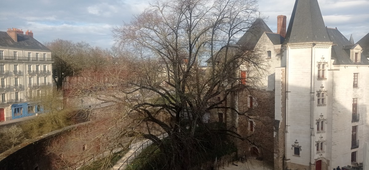 20250307_165754.jpg