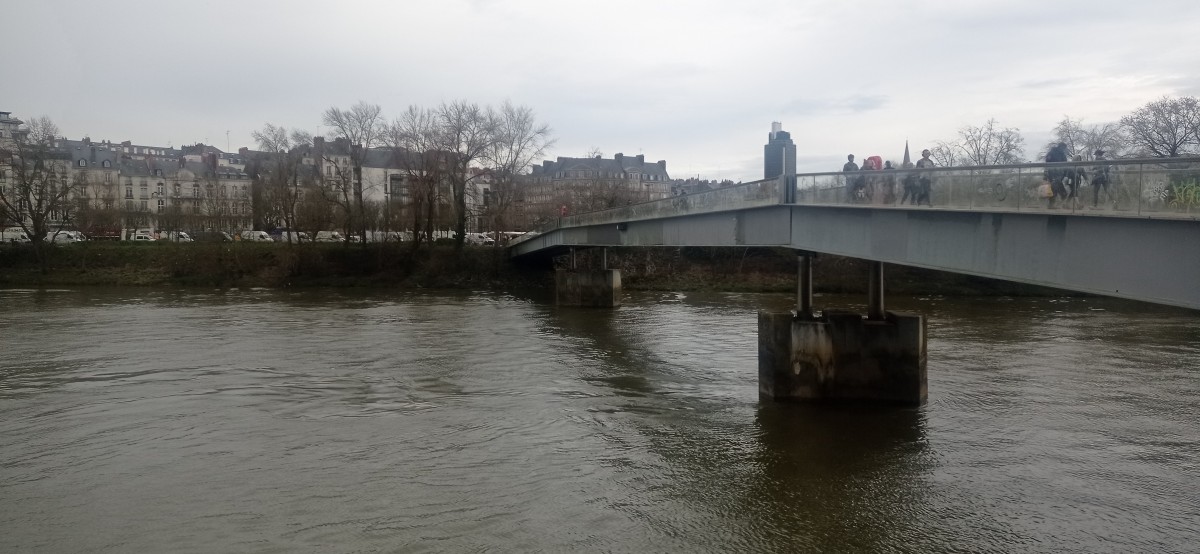 20250308_114159.jpg