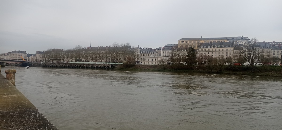 20250308_114203.jpg