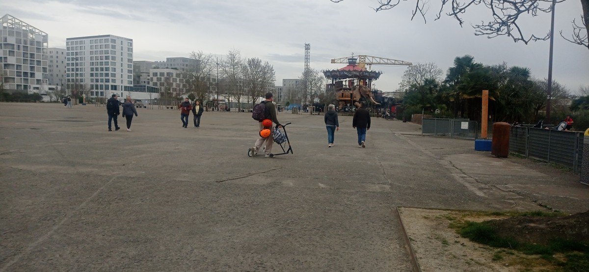 20250308_114758.jpg