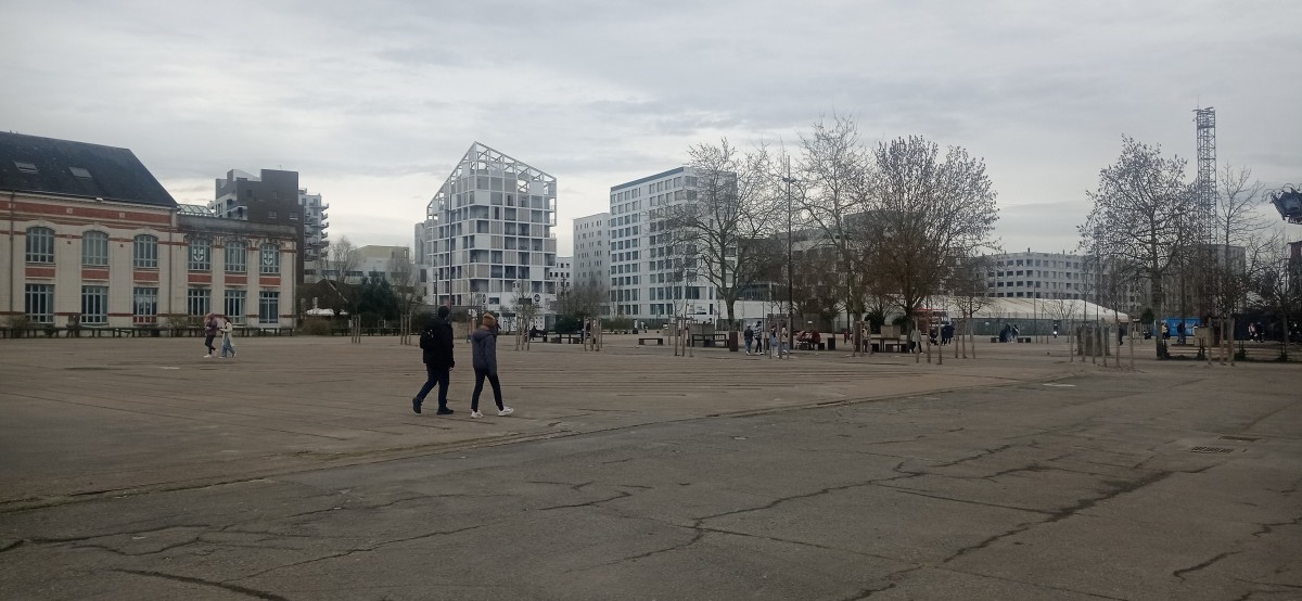 20250308_114831.jpg