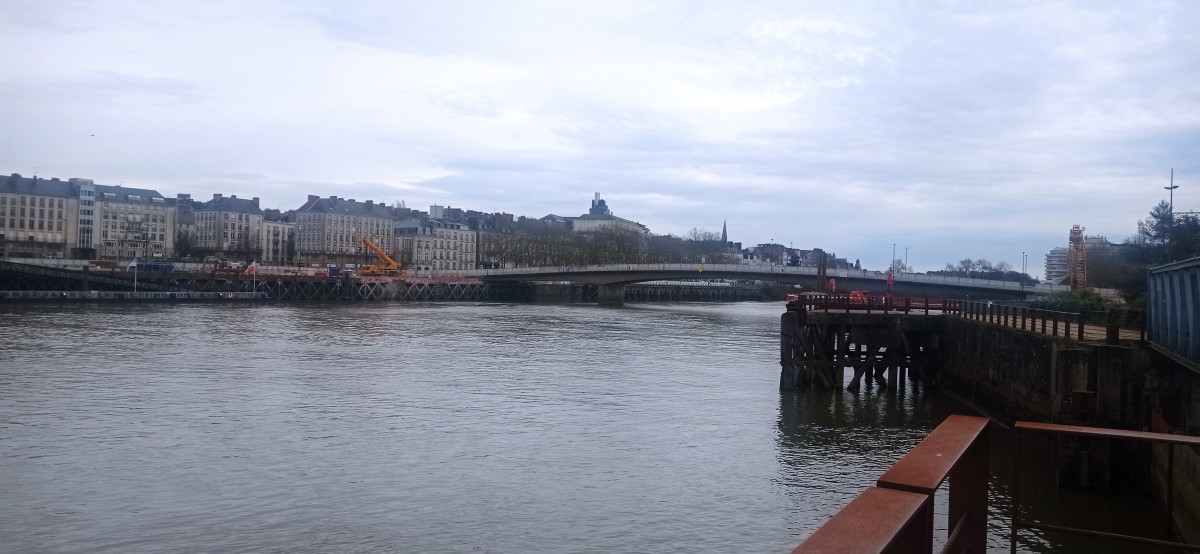 20250308_115047.jpg