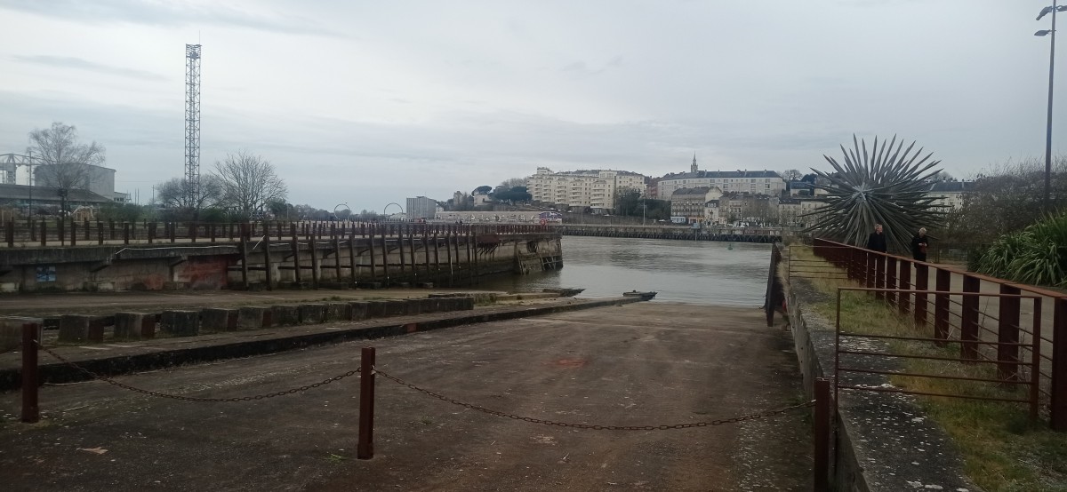 20250308_115428.jpg