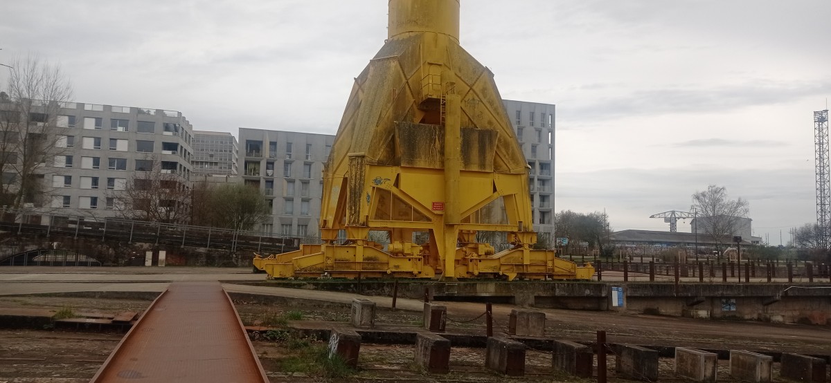 20250308_115431.jpg