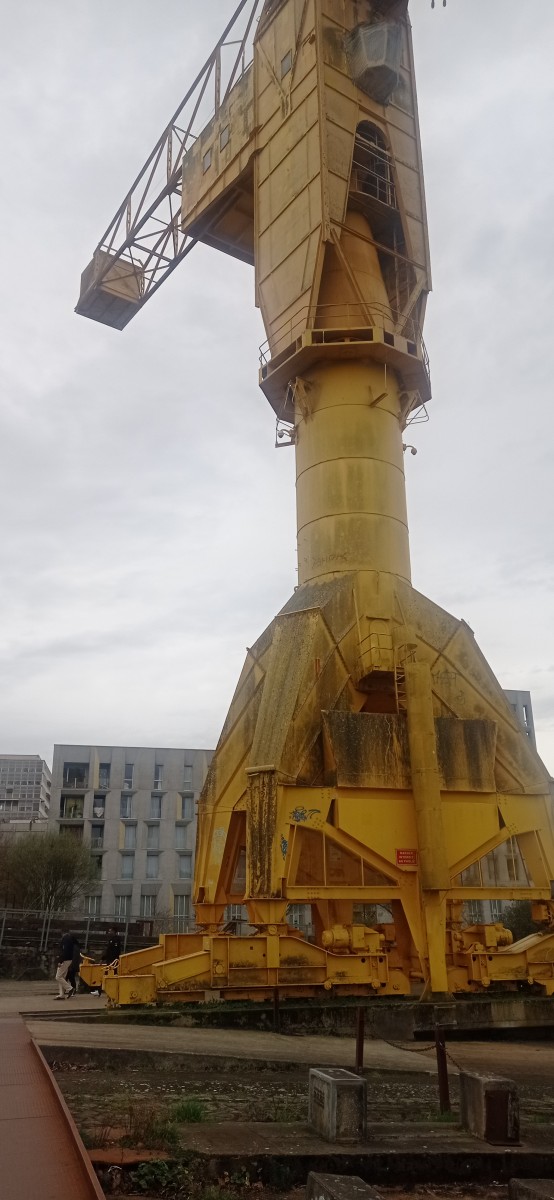 20250308_115435.jpg