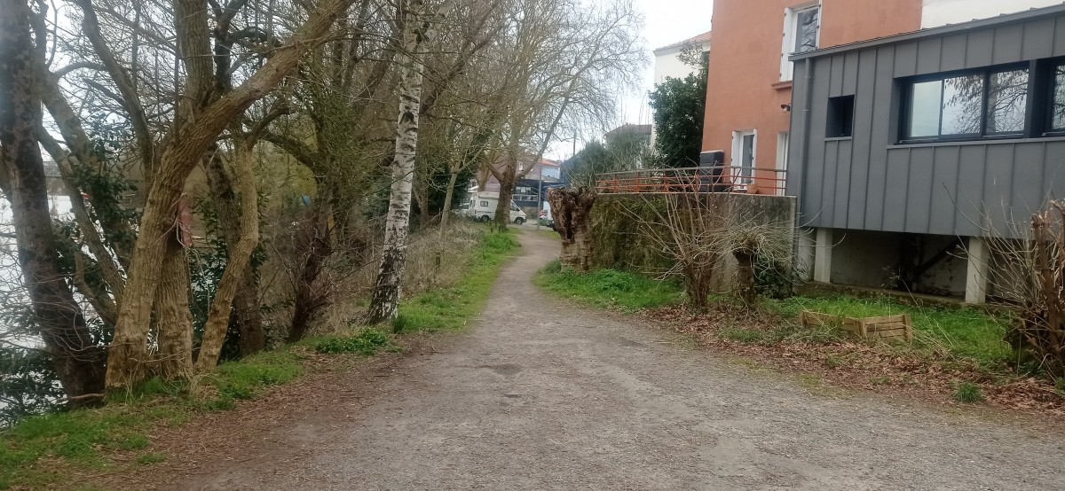 20250308_123321.jpg
