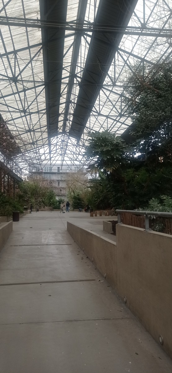 20250308_131121.jpg