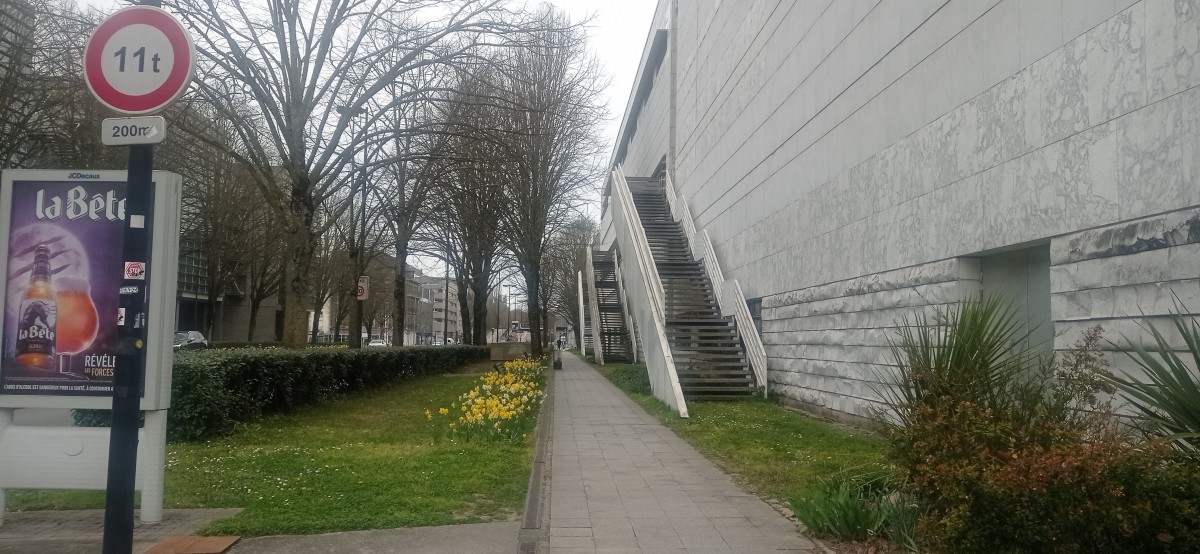 20250308_132610.jpg