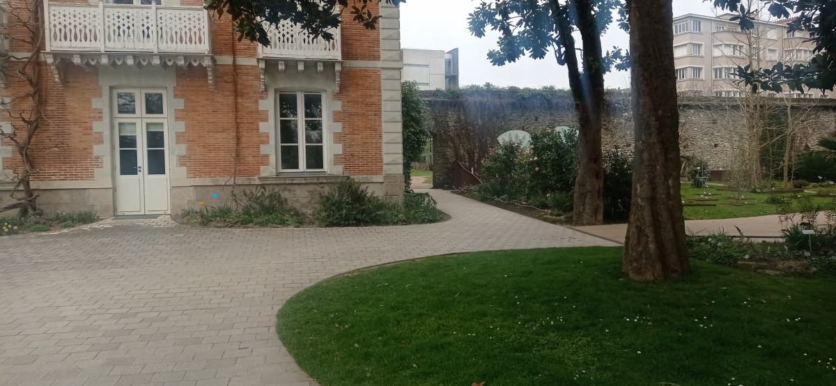 20250308_134706.jpg