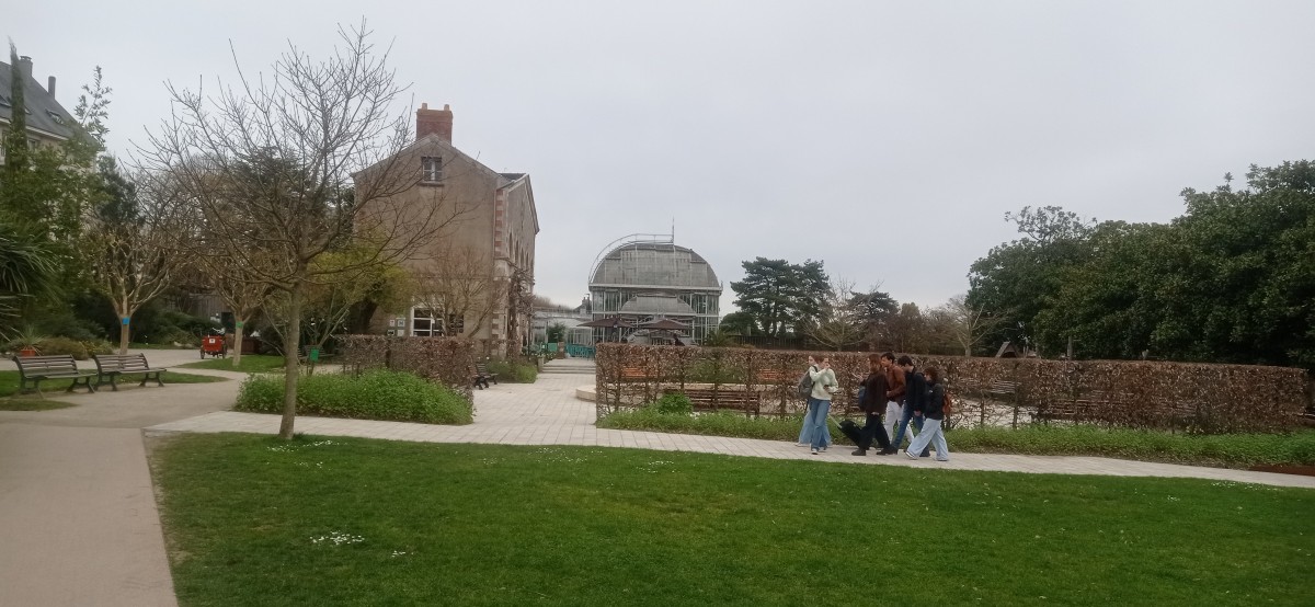 20250308_134910.jpg