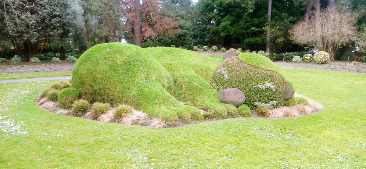 20250308_135749.jpg