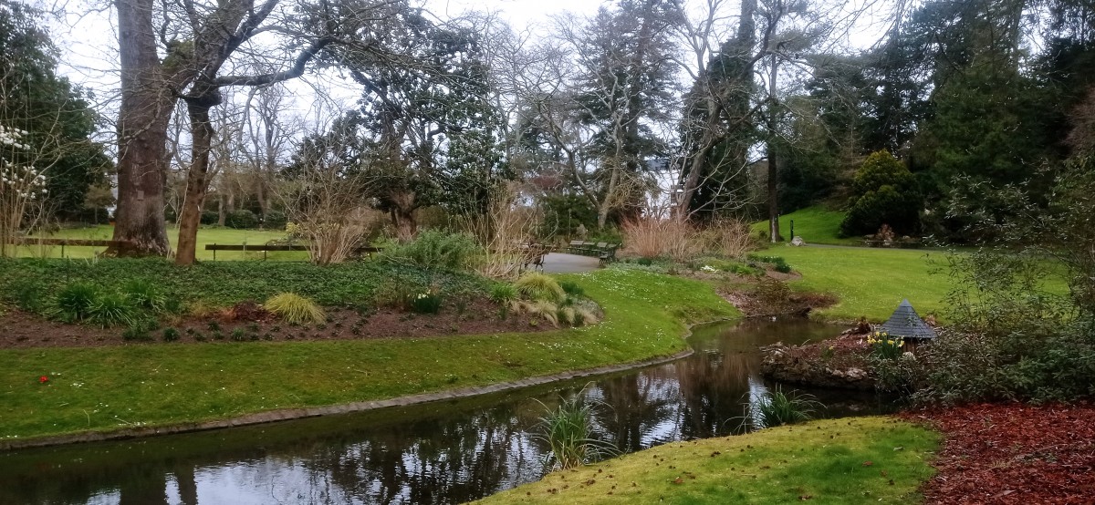 20250308_140504.jpg