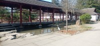 20250306_135904.jpg 20250306_135904.jpg