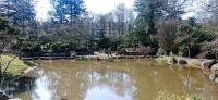 20250306_140259.jpg 20250306_140259.jpg