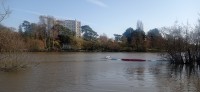 20250306_143157.jpg 20250306_143157.jpg