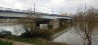 20250307_093330.jpg 20250307_093330.jpg