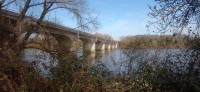 20250307_104351.jpg 20250307_104351.jpg