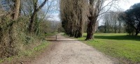 20250307_104444.jpg 20250307_104444.jpg