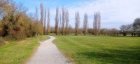 20250307_105342.jpg 20250307_105342.jpg