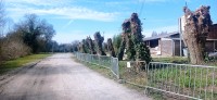 20250307_115012.jpg 20250307_115012.jpg