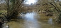 20250307_115439.jpg 20250307_115439.jpg