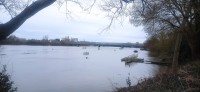 20250308_123341.jpg 20250308_123341.jpg