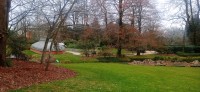 20250308_134701.jpg 20250308_134701.jpg