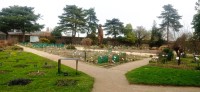 20250308_135054.jpg 20250308_135054.jpg