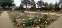 20250308_135101.jpg 20250308_135101.jpg