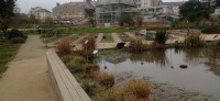 20250308_135140.jpg 20250308_135140.jpg