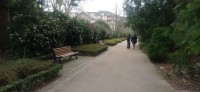 20250308_135407.jpg 20250308_135407.jpg