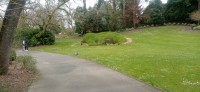 20250308_135730.jpg 20250308_135730.jpg