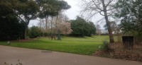 20250308_140212.jpg 20250308_140212.jpg