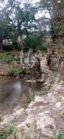 20250308_140412.jpg 20250308_140412.jpg