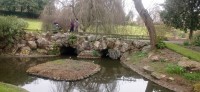 20250308_140528.jpg 20250308_140528.jpg