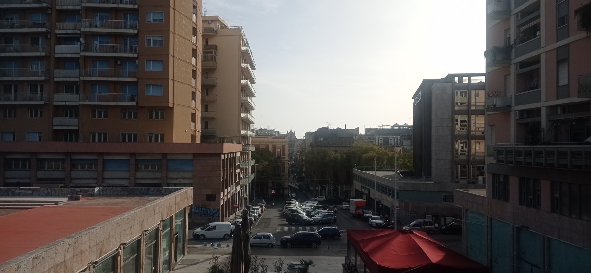20250314_080749.jpg