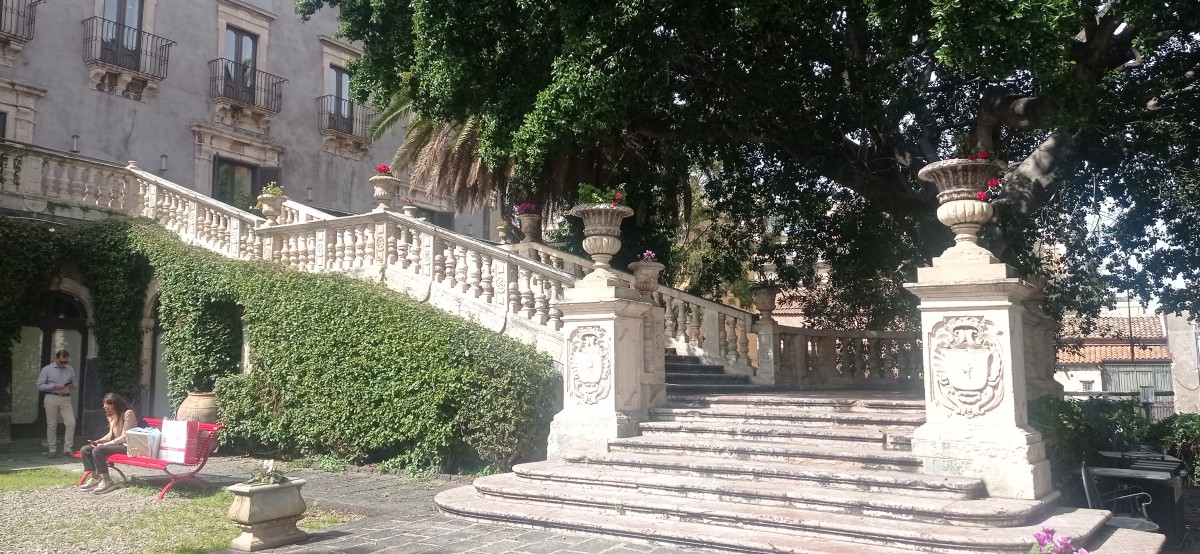 20250314_131439.jpg