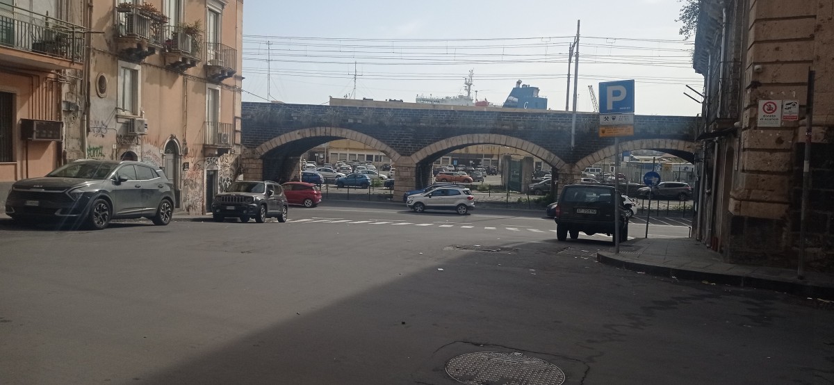 20250314_140526.jpg